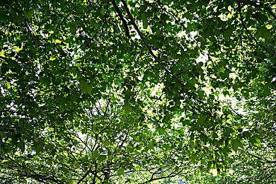 2D横板类银河战士恶魔城游戏《异化之梦》Steam页面上线 发售日期待定